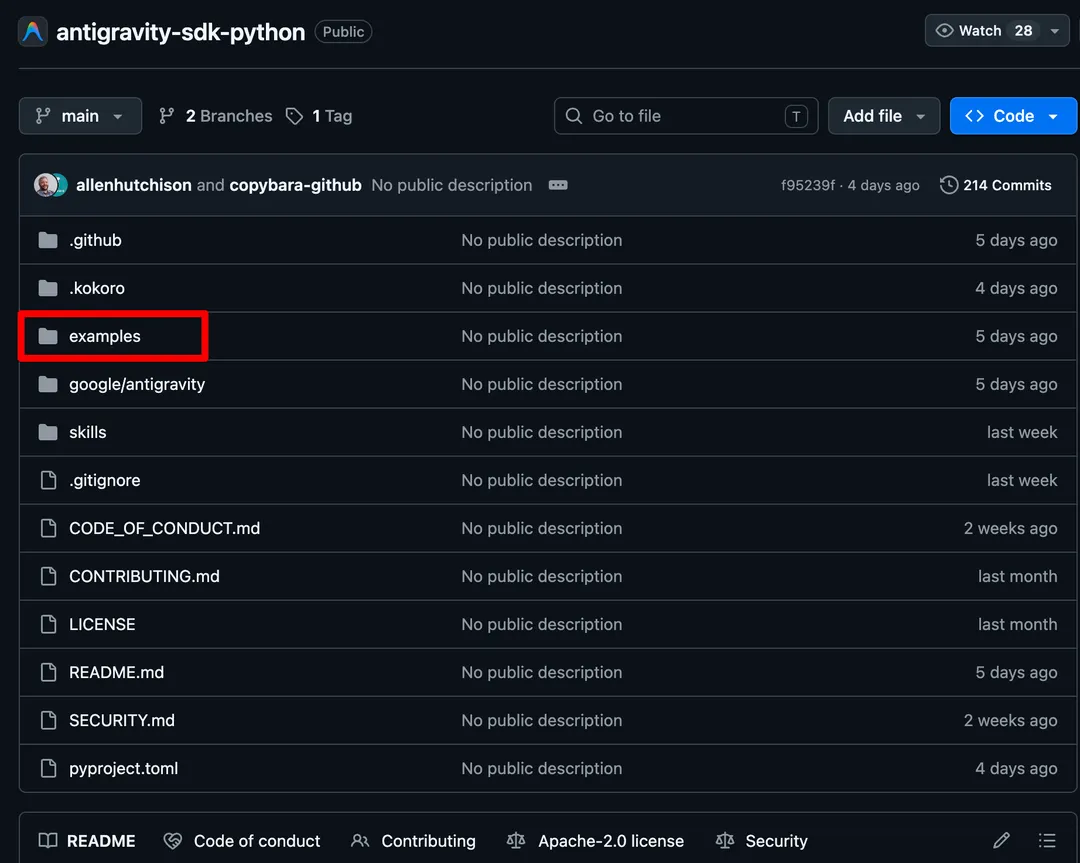 antigravity sdk example